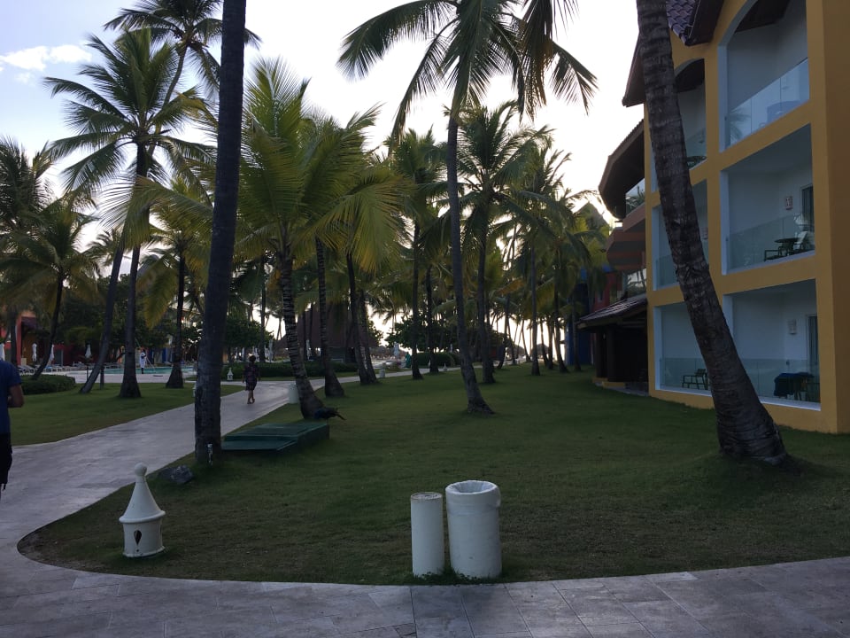 Gartenanlage Caribe Deluxe Princess