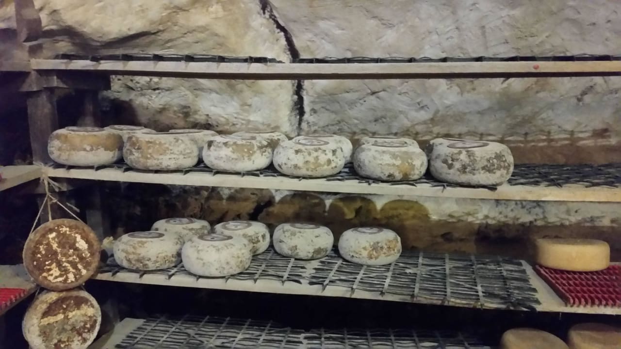 Käse in der Asche gewältzt Hotel Fattoria Castelvecchi