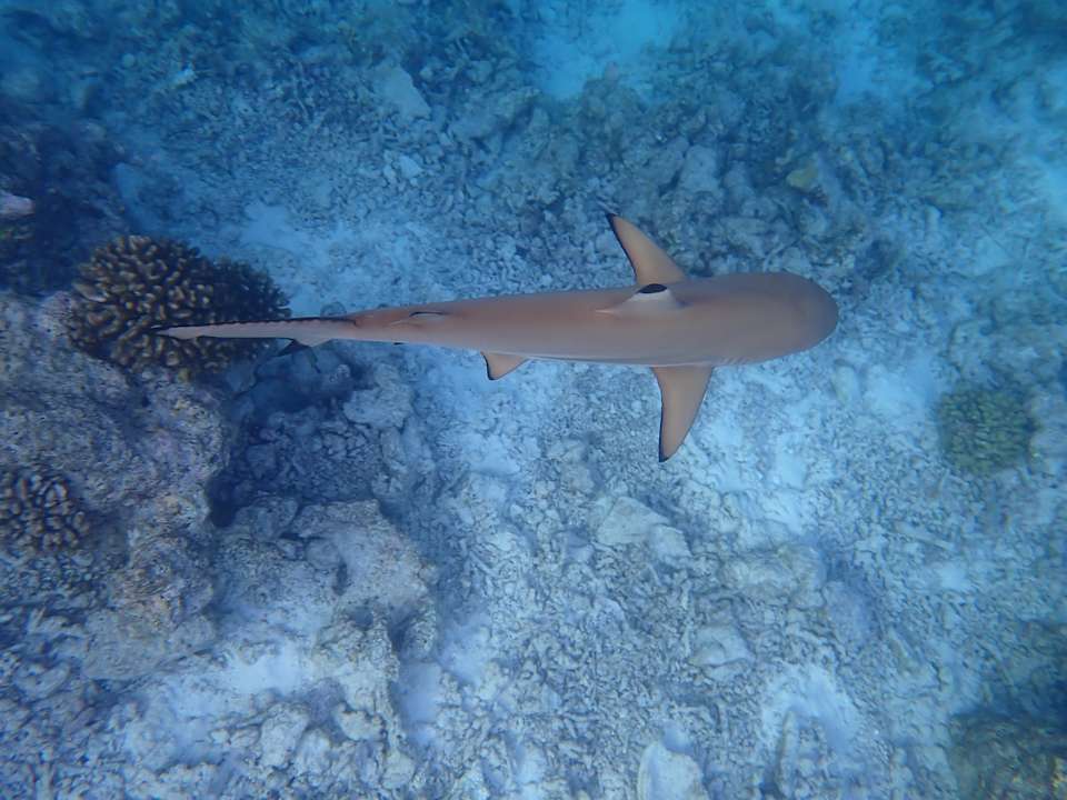 Strand Dreamland The Unique Sea & Lake Resort / Spa