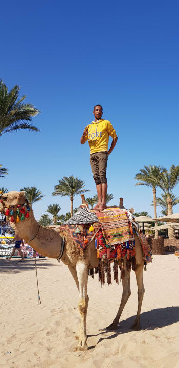 Sonstiges Golden Beach Resort