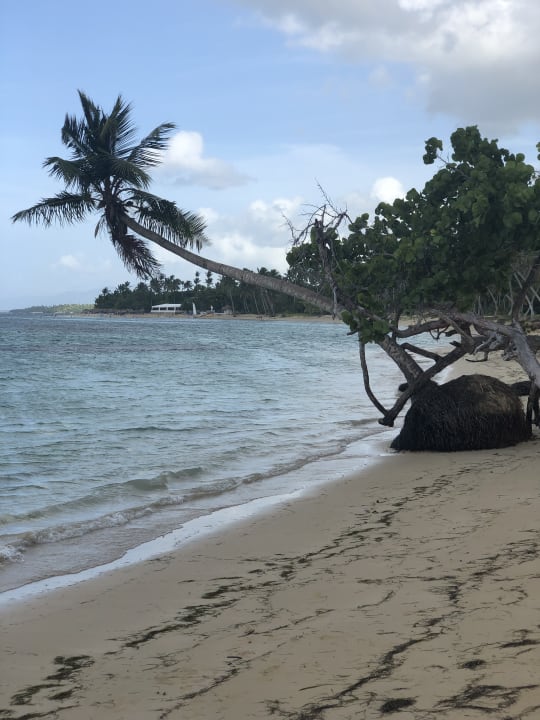 Strand Bahia Principe Grand El Portillo