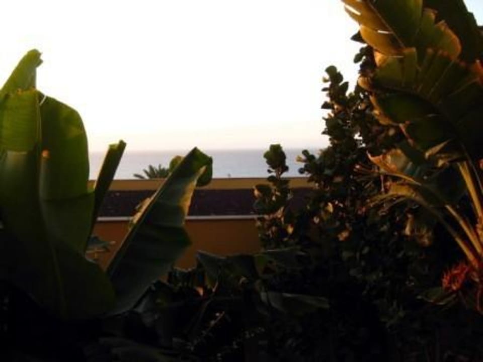 Ausblick vom Balkon SBH Club Paraiso Playa