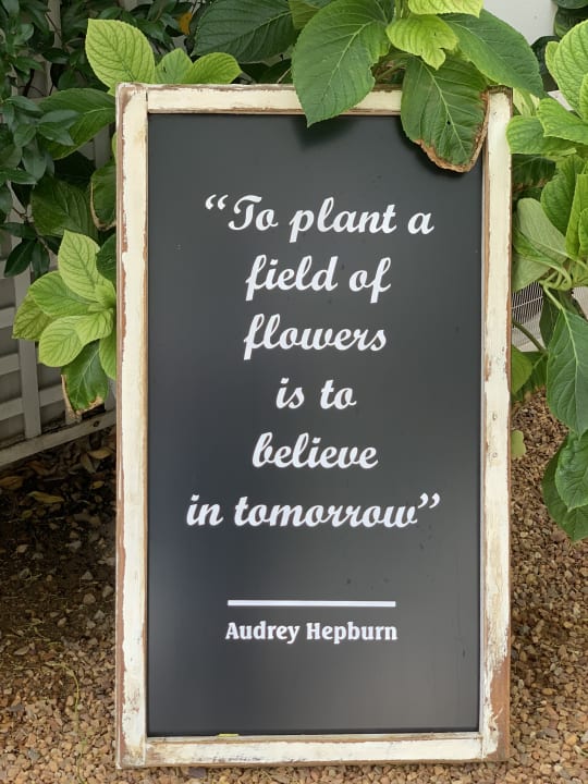 Sonstiges Guesthouse Lavender Farm