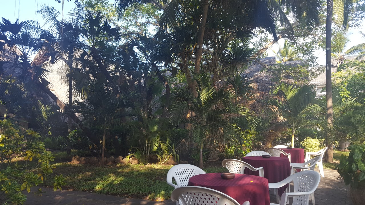 Gartenanlage Hotel Southern Palms Beach Resort