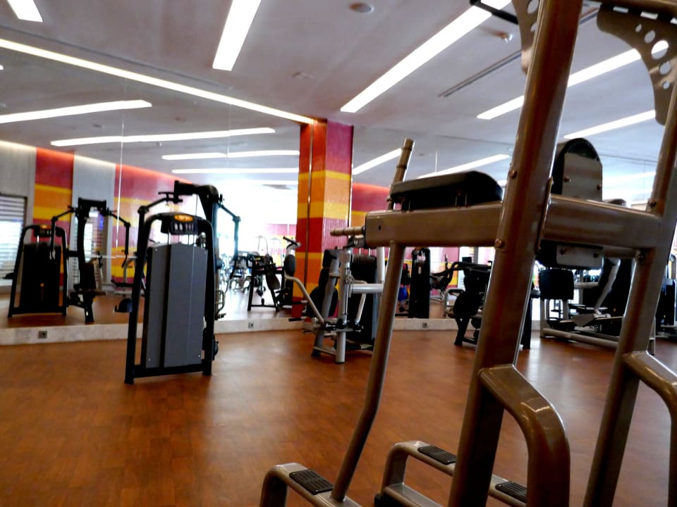 Sport & Freizeit Royal Seginus