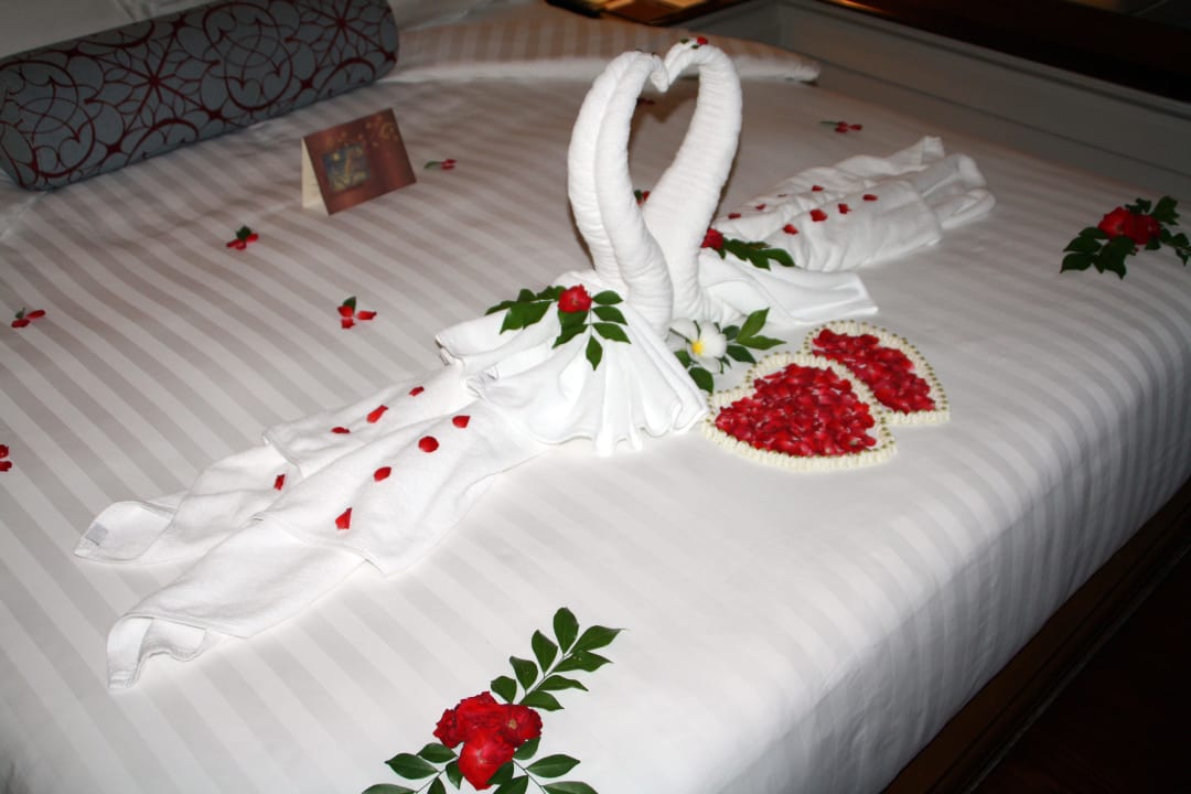 Schwäne Santiburi Koh Samui