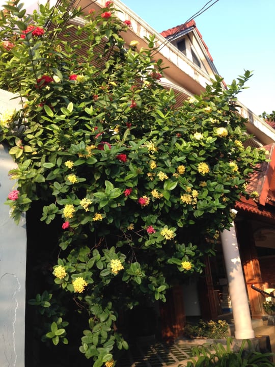 Eingangsbereich Hotel Baan Pronphateep