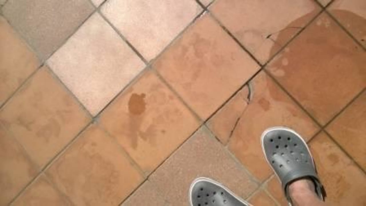 Schäden Hotel Riu Buenavista