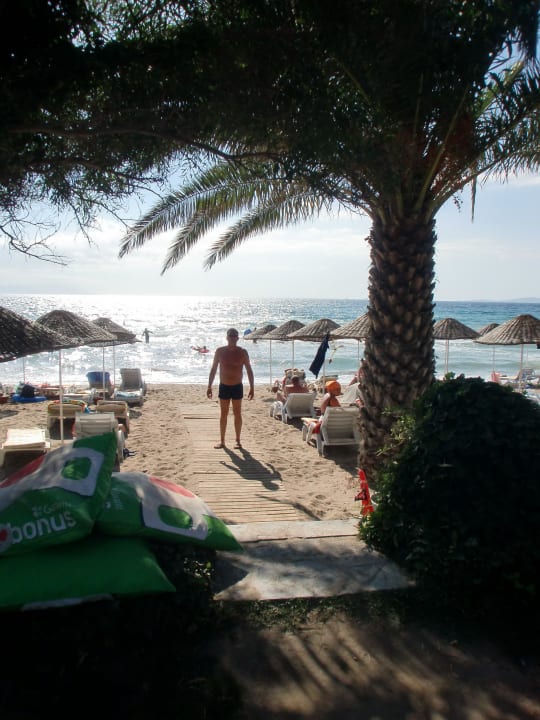 Blick vom Garten zum Strand Dogan Paradise Beach