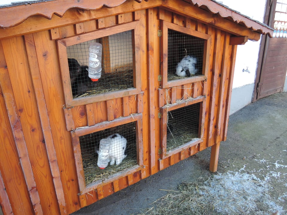 Hasenstall vor dem Kuhstall Linharterhof Appartement