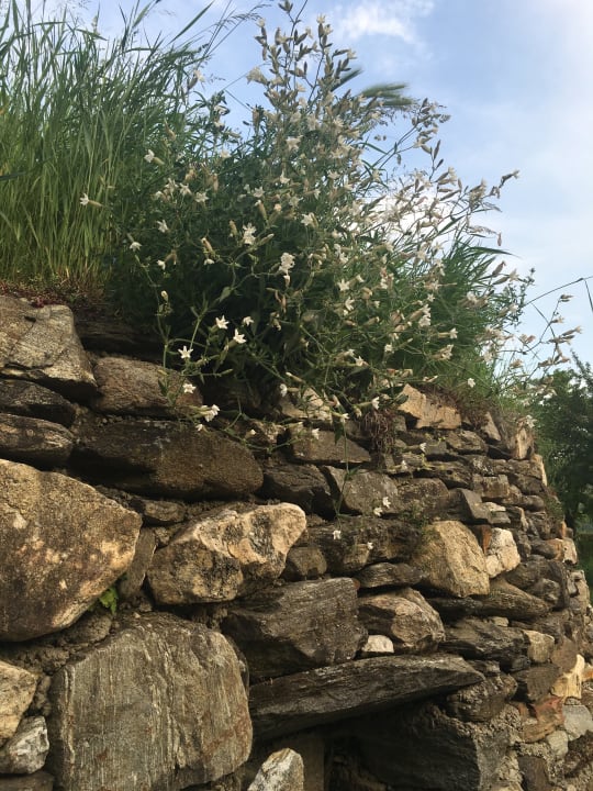Sonstiges Gästehaus Turm Wachau