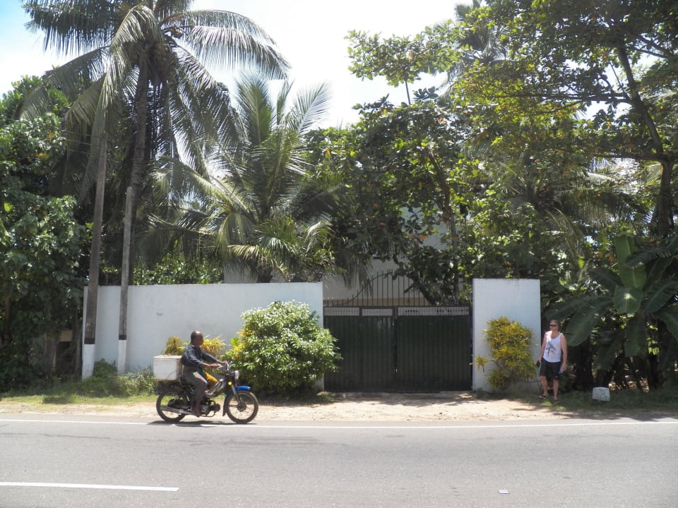 Eingang zum Hotel Hotel Haus am Meer Wilde Ananas