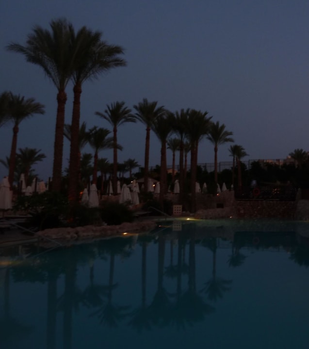 Abenddämmerung The Grand Hotel Sharm El Sheikh