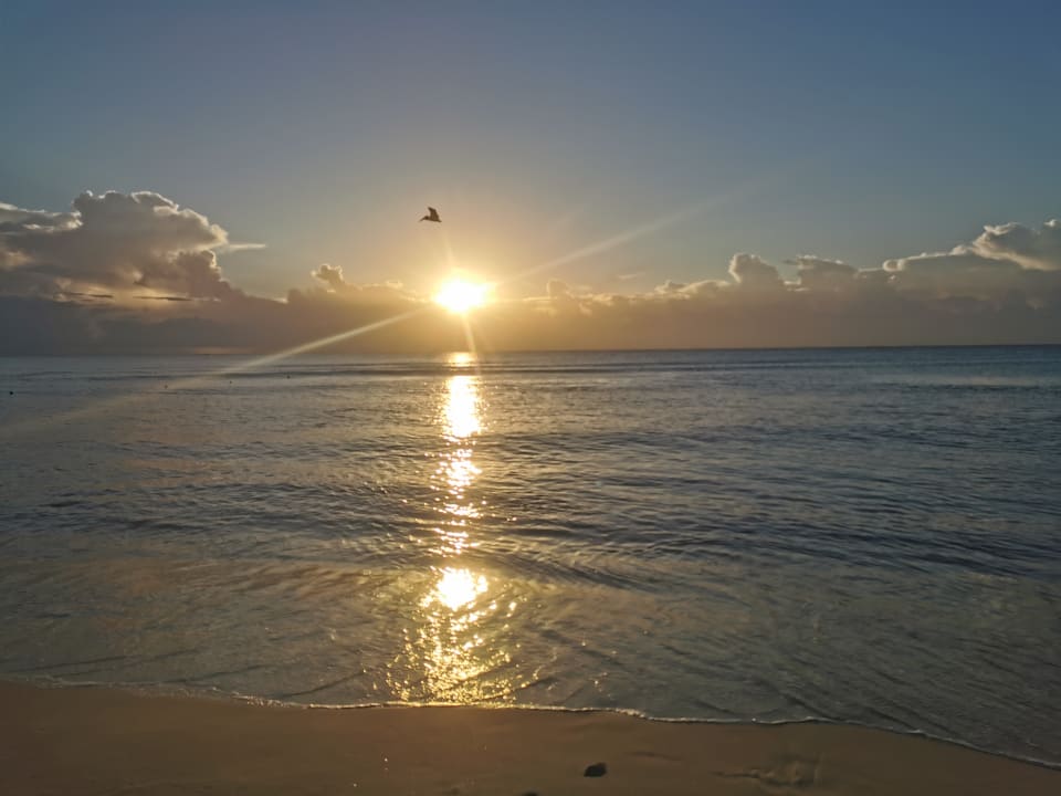 Strand Hotel Riu Palace Riviera Maya