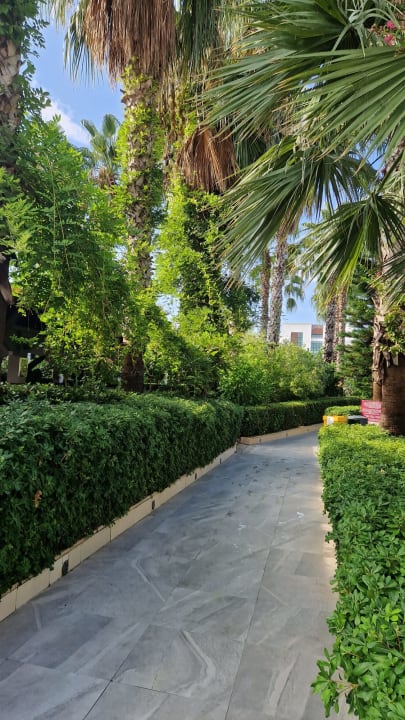 Gartenanlage Hane Family Resort