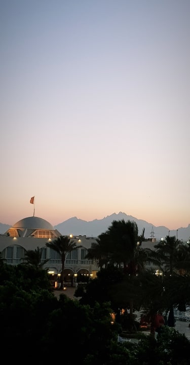 Ausblick Desert Rose