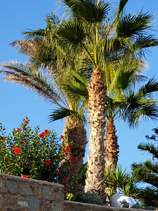 Gartenanlage Seaside A Lifestyle Resort