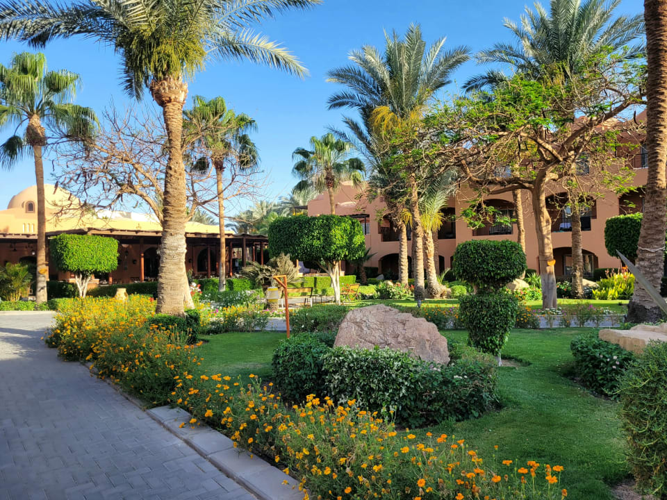 Gartenanlage Jaz Makadi Oasis Resort