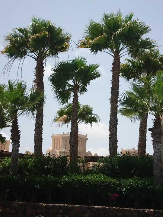 Pool Hotel Riu Touareg