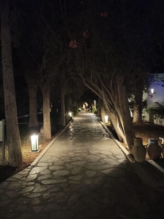 Gartenanlage The Orangers Beach Resort and Bungalows