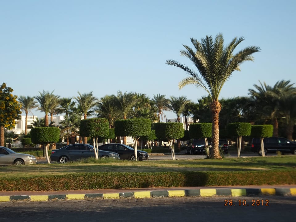 Сад Blend Club Aqua Resort