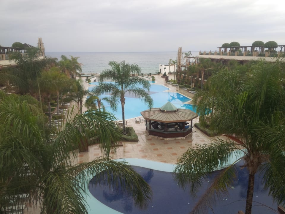 Zimmer Cratos Premium