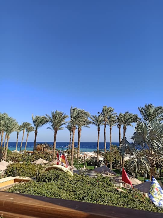 Ausblick Grand Waterworld Makadi & Family Star Makadi