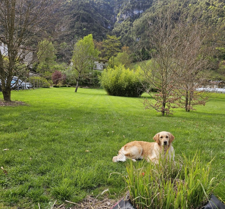 Gartenanlage Da Elda Natural Retreat