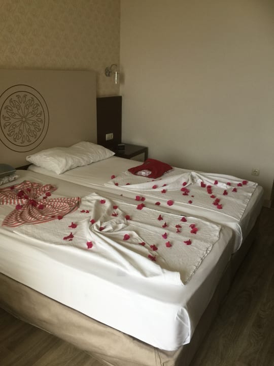 Zimmer Side Alegria Hotel & Spa - Adults only +16