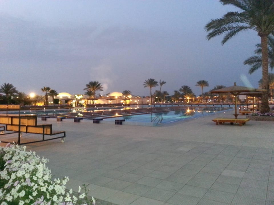 Einfach traumhaft! Desert Rose