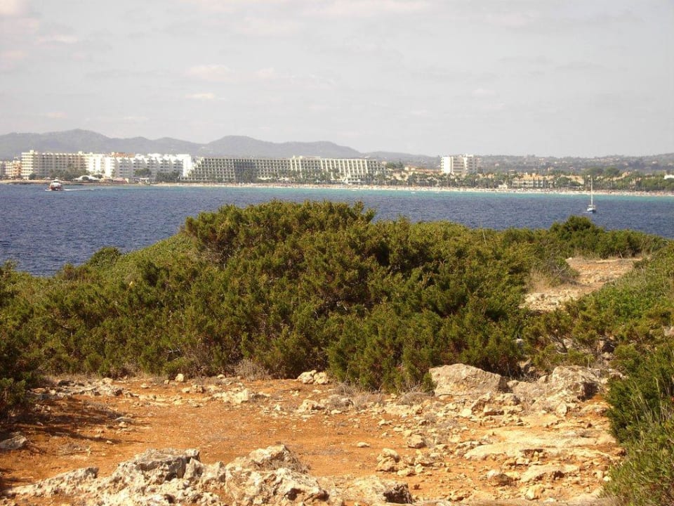 Aussicht zum Hotel vom Naturschutzgebiet Hipotels Mediterraneo
