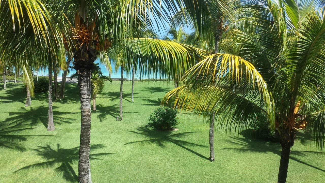 Widok z pokoju Victoria Beachcomber Resort & Spa