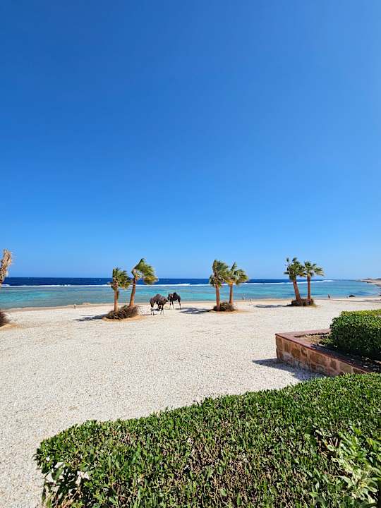 Außenansicht Mövenpick Resort El Quseir