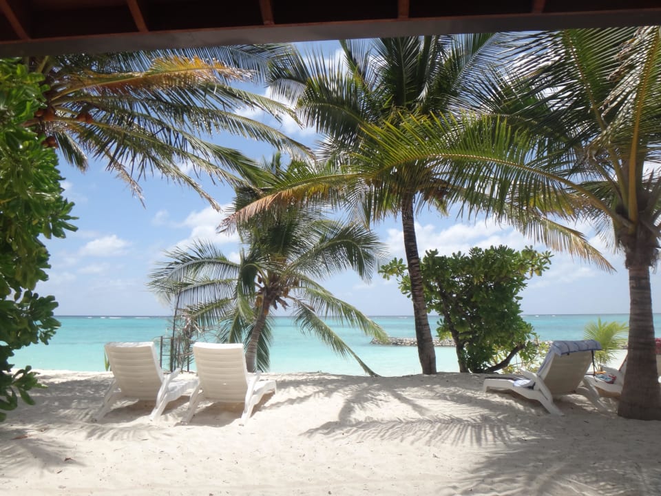 Vor Bungalow 212 Summer Island Maldives