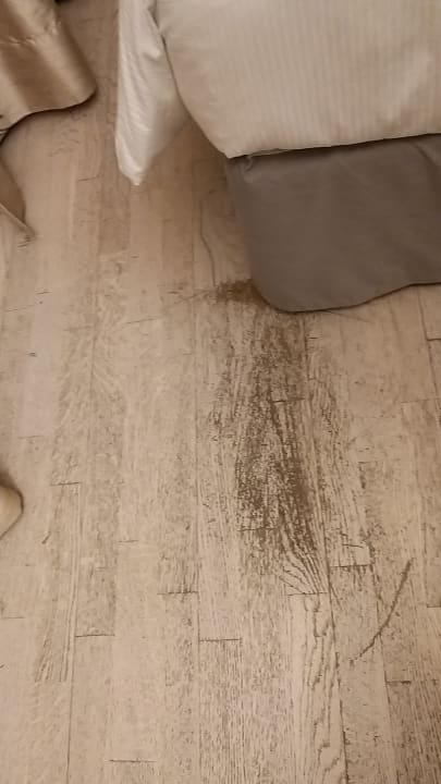 Zimmer Hilton Dead Sea Resort & Spa