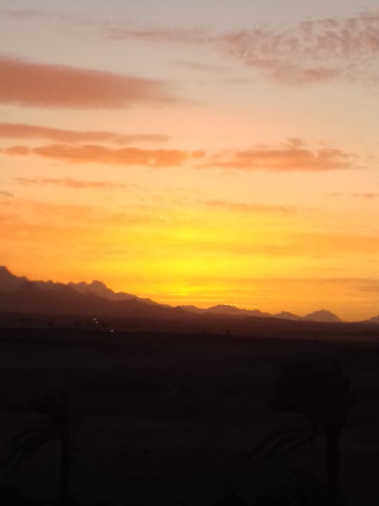 Strand Shams Prestige Abu Soma-Adults Only