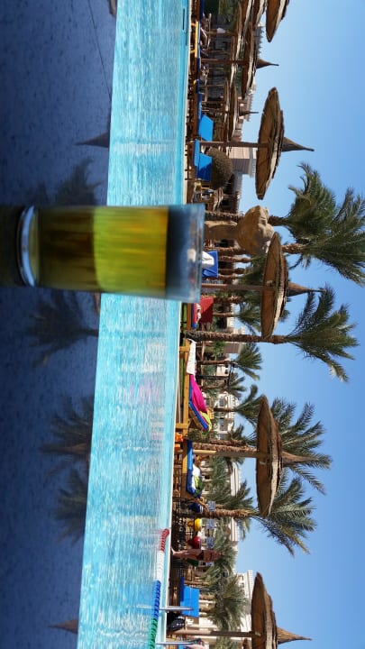 RELAX Pickalbatros Palace Resort