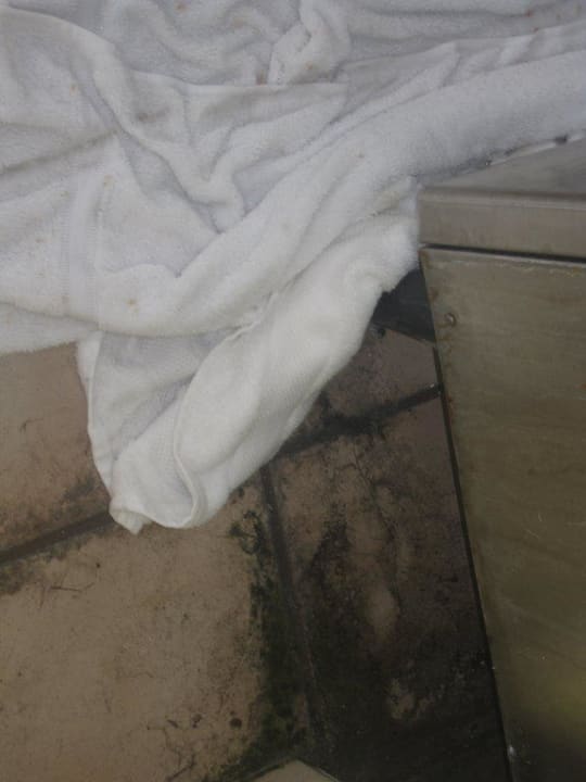 Auf dem Flur Hotel Bayside Inn Key Largo