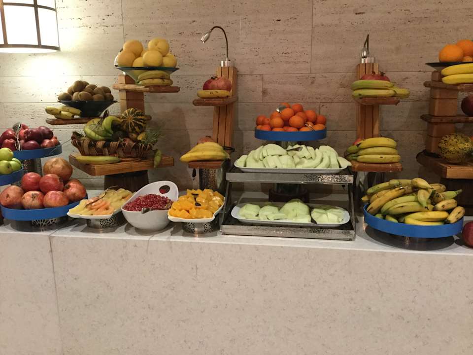 Gastro Acanthus Cennet Barut Collection