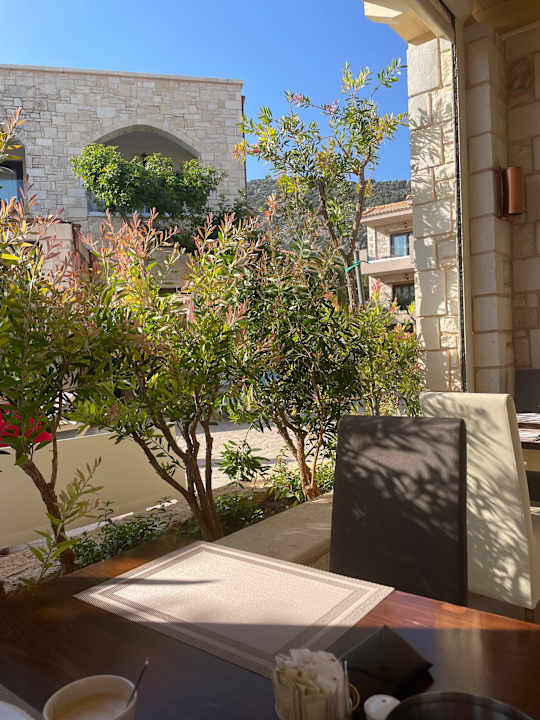 Gartenanlage Cactus Royal