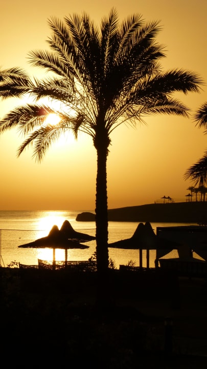 Sonnenaufgang Steigenberger Coraya Beach - Adults only