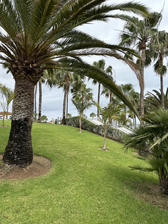 Gartenanlage Hotel Riu Gran Canaria