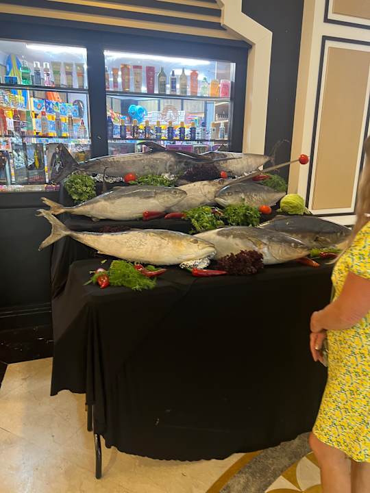 Gastro Adalya Elite Lara