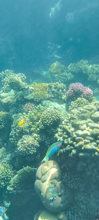 Sonstiges TUI MAGIC LIFE Kalawy