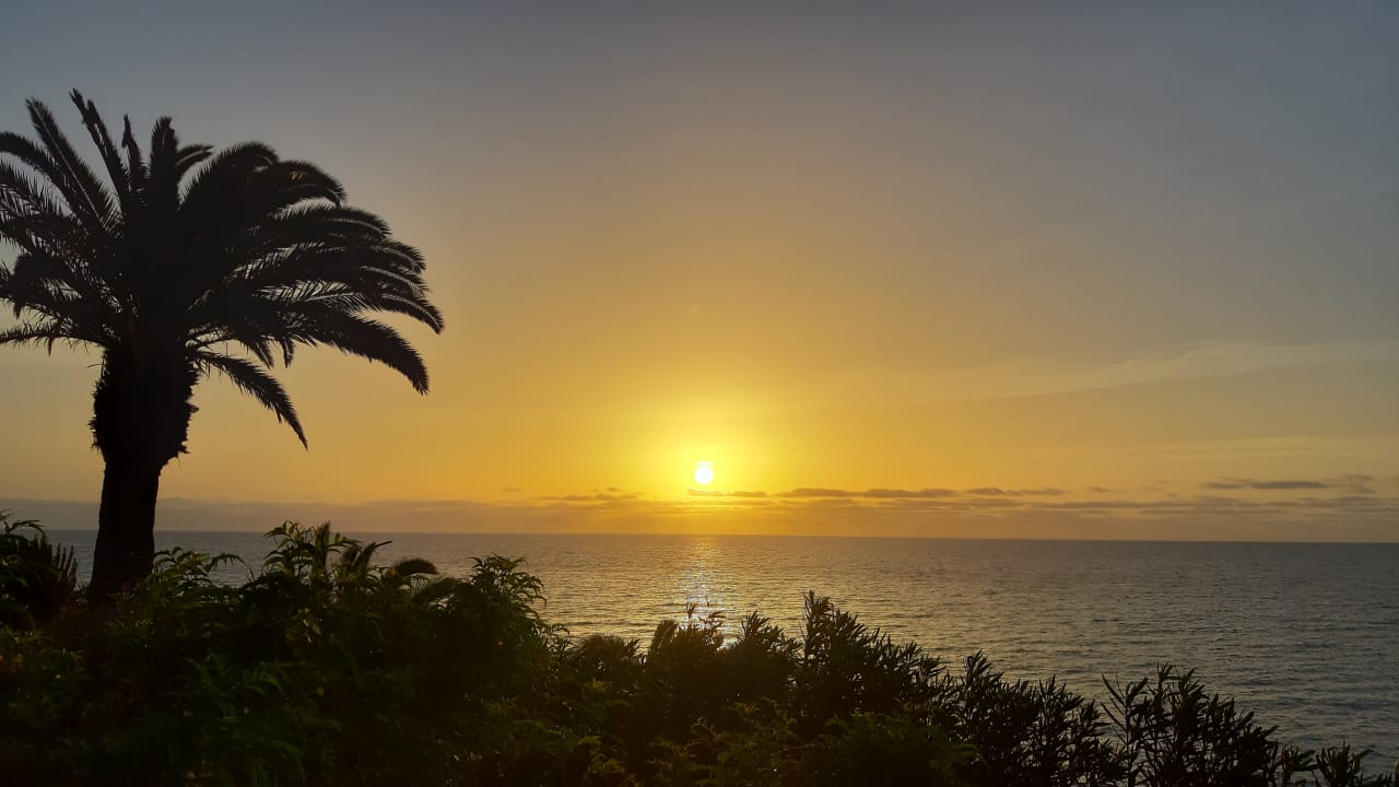 Ausblick R2 Pajara Beach