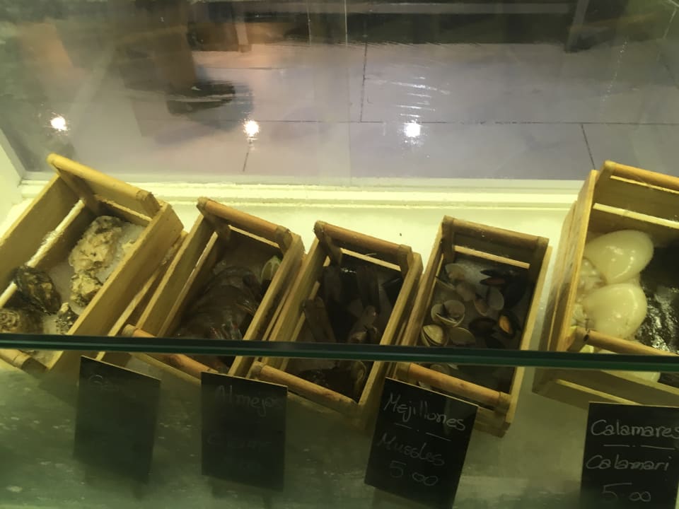 Gastro Iberostar Selection Sábila