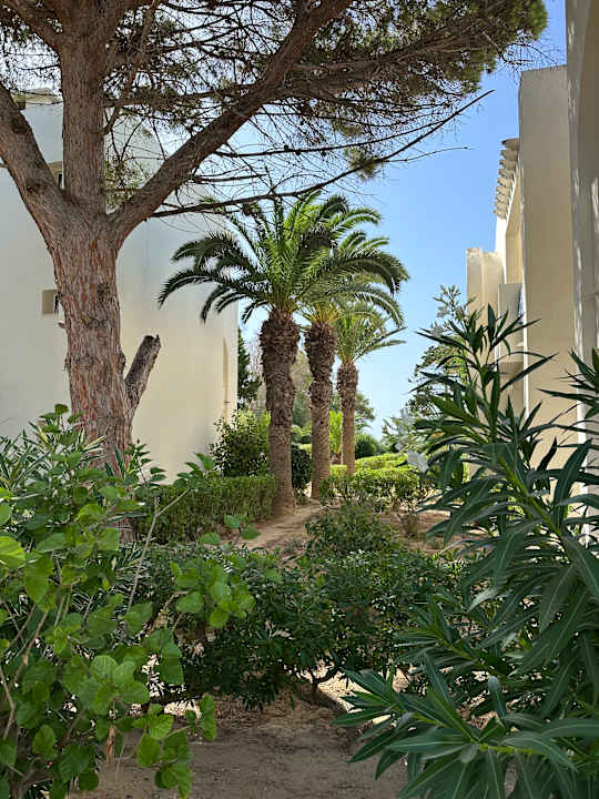 Gartenanlage Calimera Delfino Beach Resort & Spa