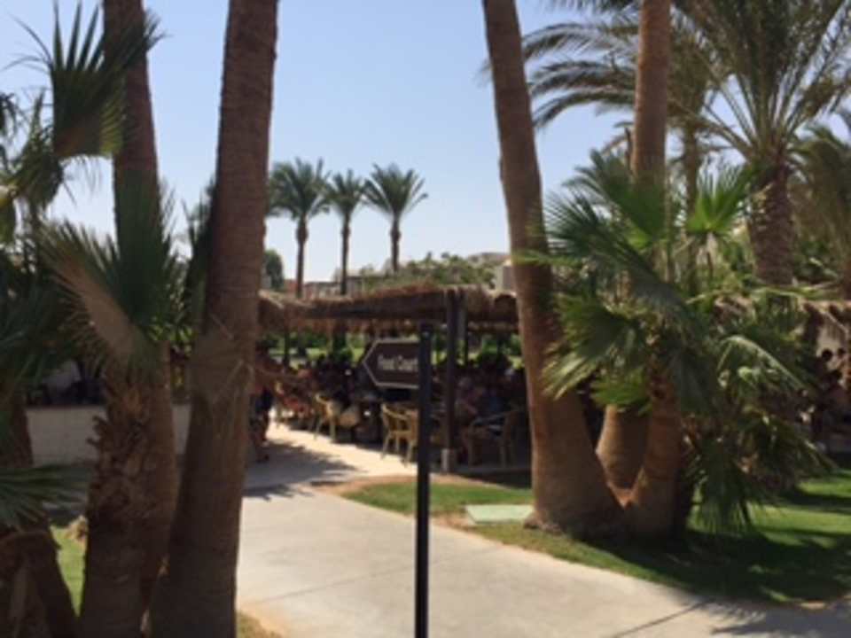Gartenanlage Jaz Makadi Oasis Resort