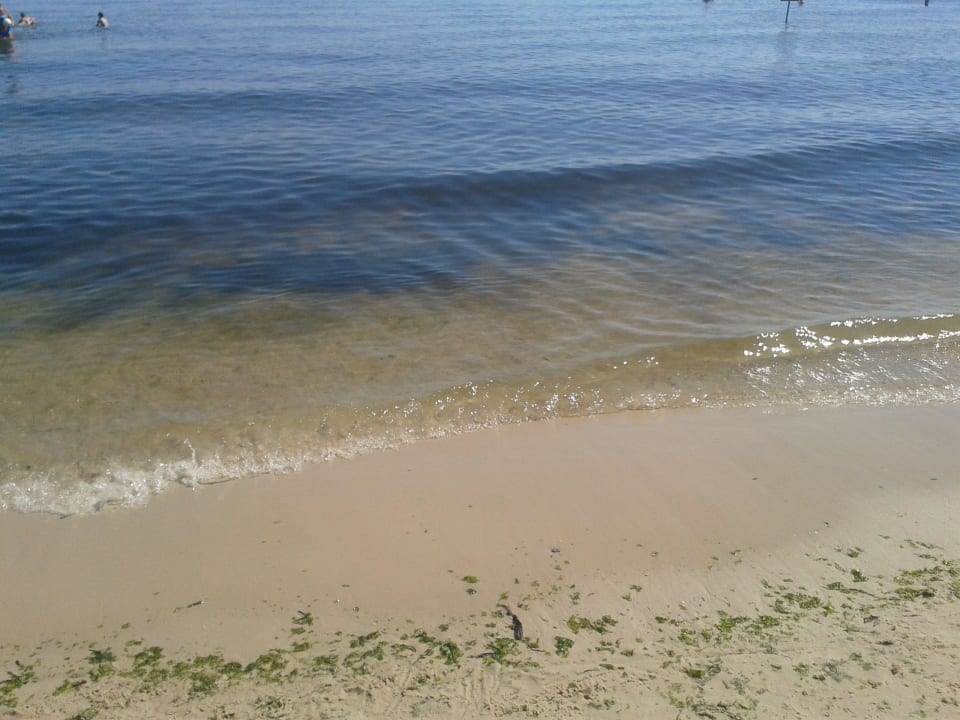 Strand im Juni Houda Golf & Beach Club