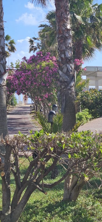 Gartenanlage Seaden Sea World Resort & Spa